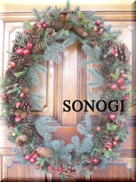 026sonogi1