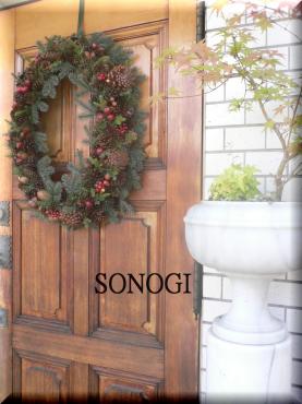 036sonogi3